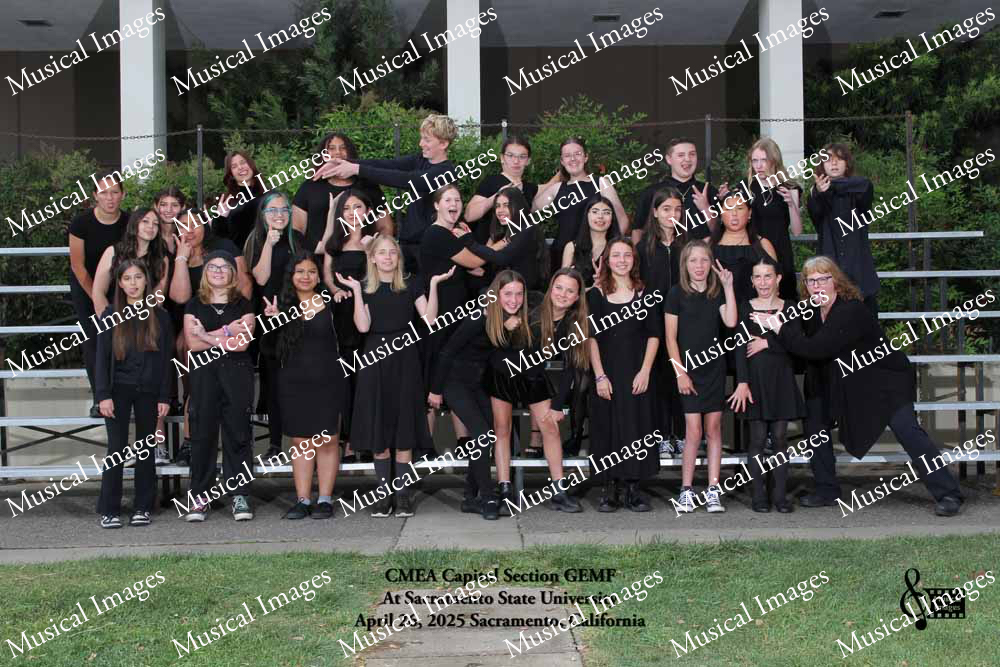 Musical Images